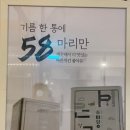 바른치킨부산청학점 이미지