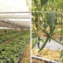 덕례농장 이미지