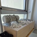 웨딩블랑 | [웨딩] 블랑드윈느&amp;로라 스튜디오 드레스 내돈내산 후기~