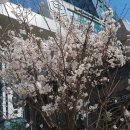 서울참피부과의원 이미지