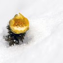 김종출농장 이미지