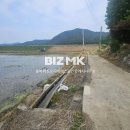 혁신네모공인중개사사무소 이미지