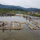 봉평 메밀꽃 축제 이미지