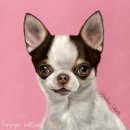 멍멍이 보러올래? 이미지