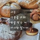 오롯한작업실 | 강릉 비건빵 맛집 오롯한작업실 - 유기농 식사빵 내돈내산 후기