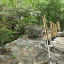 국시봉
