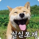 케세라세라헤어