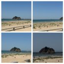 꽃지아라 이미지