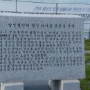 하나호 이미지