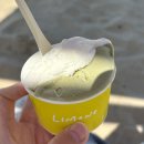 망상 해수욕장 감성 젤라또 맛집 리모네 방문 후기