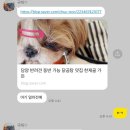 치도(chido) 이미지