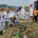 풍악농장 이미지