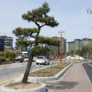 강릉경포그리고바다 이미지