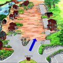 대관령자연휴양림 이미지