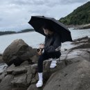 월심이네 이미지