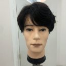 헤어쇼앤위그 이미지