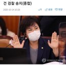 경찰, '재산누락 의혹' 조수진 의원 고발건 검찰 송치(종합) 이미지