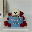 정성스럽개 | 강아지케이크 울산 반려동물 간식의 천국, 정성스럽개 방문 후기