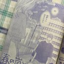 메가후르츠 여주점 | 24) 50주년 기념 하나토유메 & 더 하나토유메 구매 후기
