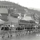 마산가축병원 이미지