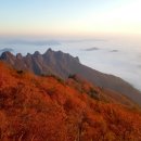 서진모터스 - 안산시 상록구 각골동로 8 | 서진모터스