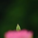 한국 카메라 박물관 이미지