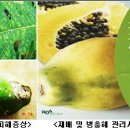 곡성청과 이미지