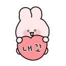 동글나무 이미지