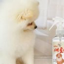 에코퓨리 이미지