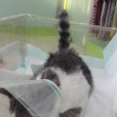 망미동물병원 이미지