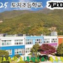 토지초등학교 이미지