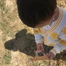 아람목장2 이미지