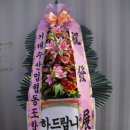 부영호 이미지