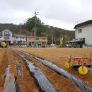 진달래골민박 이미지