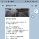 미디어신 네이버블로그