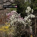 오고싶은경희한의원 이미지