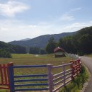 강원목장 이미지