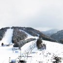 용평사우나1 이미지