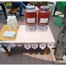꾸미랑유치원 네이버블로그