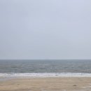 고기카페 | 대천해수욕장 드라이브 코스 추천 바다뷰 고기집 &amp; 감성 카페 후기