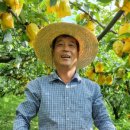 호동농장 이미지