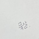 당근바다 이미지