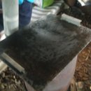 오월농장 이미지