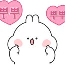 태영한우정육점 이미지