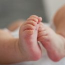 효사랑길 네이버블로그