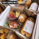 스텔라네 네이버블로그