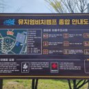 뮤지엄비치캠프 이미지