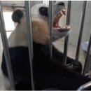 생육원 네이버블로그