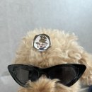 댕댕농부 이미지