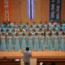 우림교회 이미지